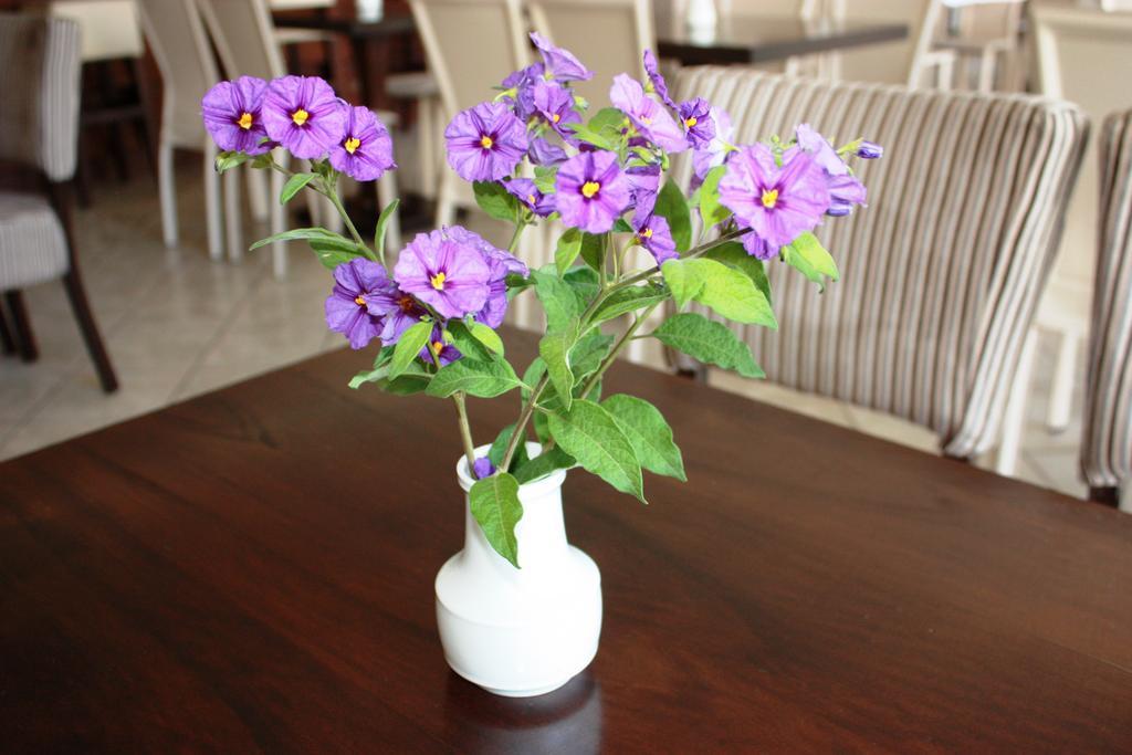 Hotel Cariatis Nea Kallikrateia Ngoại thất bức ảnh